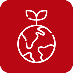 Formaciones,Capacitaciones